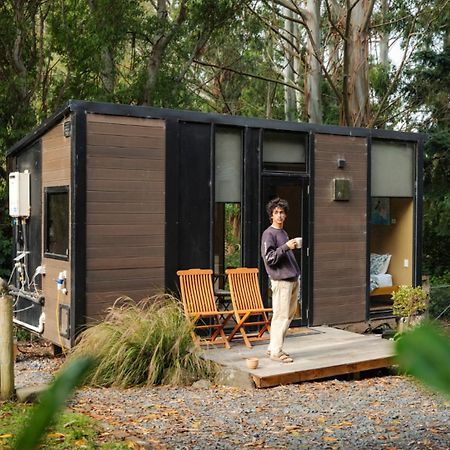 Owaka Pekapeka Tiny House By Tiny Awayヴィラ エクステリア 写真